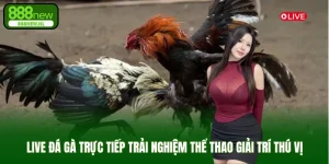 live đá gà trực tiếp